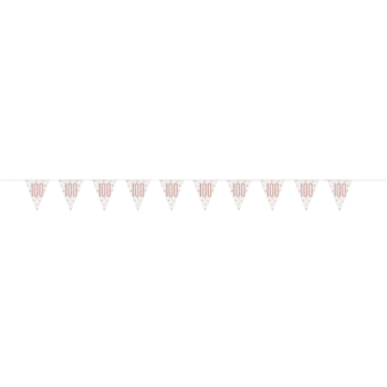 Unique Party Number 100 Rose Gold Glitz Prism Pennant Banner 9ft 