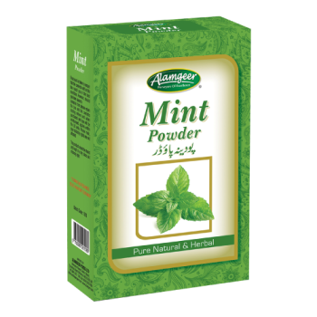 Alamgeer Mint Powder 100g 