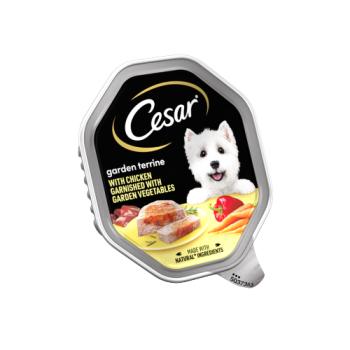 Cesar Chicken & Veg
