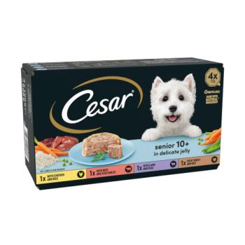Cesar Senior Wet Dog Food Trays Meat In Delicate Jelly 4 X 150g