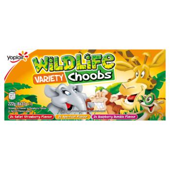 Wildlife Variety Choobs Strawberry, Raspberry and Apricot Flavour 6 x 37g