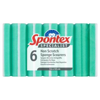 Spontex Specialist Non Scratch Scourers