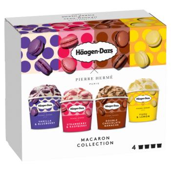 Haagen Dazs Macaron Mini Cup