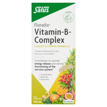 Floradix Vitamin-B-Complex Liquid Vitamin Formula 250ml