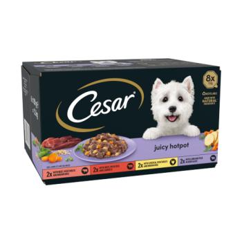 CESAR® Juicy Hotpot Adult Wet Dog Food Trays Mixed in Gravy 8 x 150g
