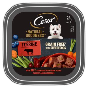 Cesar Natural Goodness Grain Free Adult Dog Food Beef Terrine Tray 100g