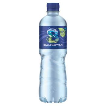 Ballygowan Still Natural Mineral Water 500ml