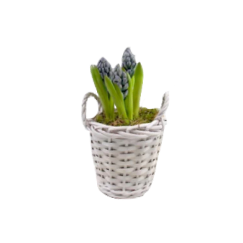Co-op Hyacinth Basket Each