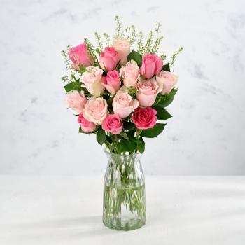 Co-op Premium Roses