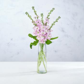 Co-op British Stocks Bouquet