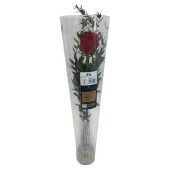 Valentine's Day Flowers - Single Red Rose in Vase (Vase May Vary) 