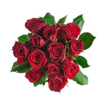 Co-op Valentine's Dozen Red Roses