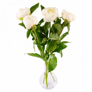 Co-op Peonies Bouquet
