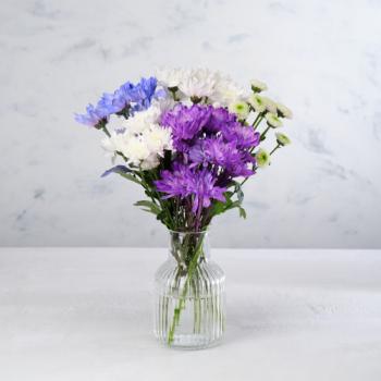 Co-op Florist Mixed Chrysanthemum
