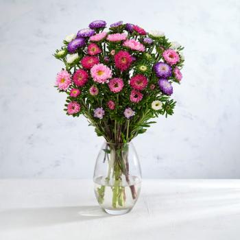 Co-op Florist Asters