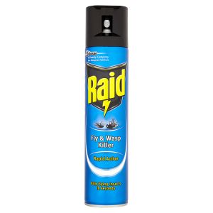 Raid Fly & Wasp Killer 300ml