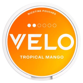 Velo Tropical Mango Nicotine Pouches