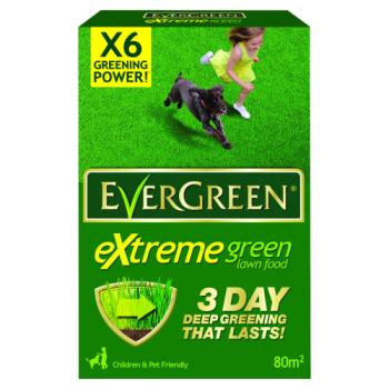 Evergreen Extreme Green 80m2 2.8kg