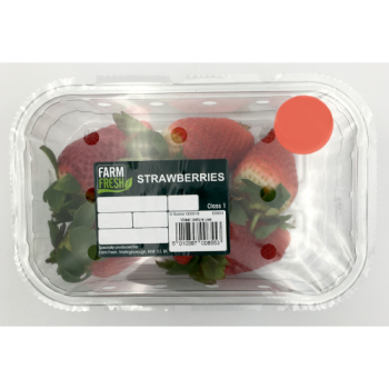 Farm Fresh Strawberries