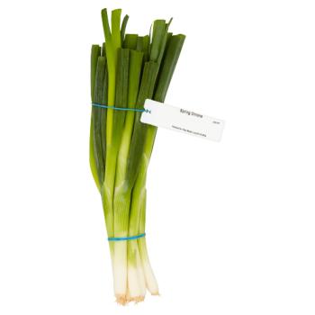 Heritage Spring Onions