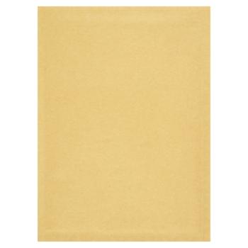 Padded Envelope No 4 D/1
