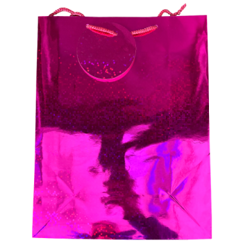 Holographic Large Gift Bag 26cm x 32cm (Colour May Vary) 