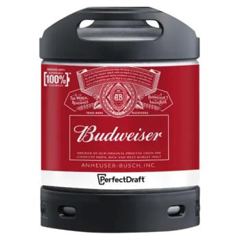 Budweiser Lager Beer 6L