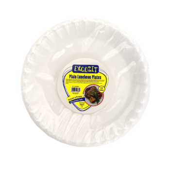 Exquzit 9 Inch Foam Plates 12pk 
