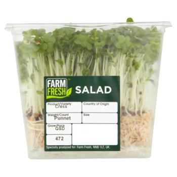Salad Cress