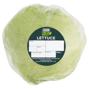 Lettuce