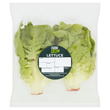 Farm Fresh 2 Little Gem Lettuce