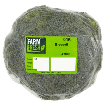 Farm Fresh Broccoli x 1