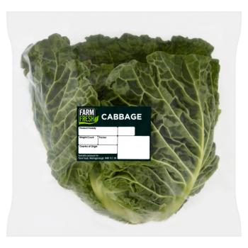 Farm Fresh Cabbage