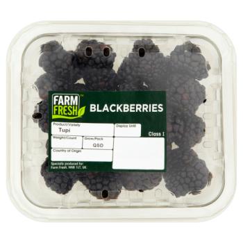 Farm Fresh Blackberries