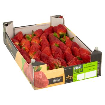 Farm Fresh Strawberries