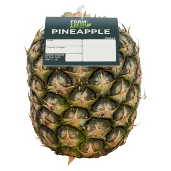 Farm Fresh Pineapple