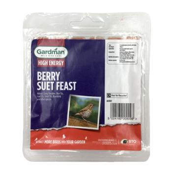 Gardman High Energy Berry Suet Feast