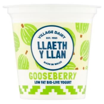 Village Dairy Llaeth y Llan Gooseberry Low Fat Bio-Live Yogurt 125g
