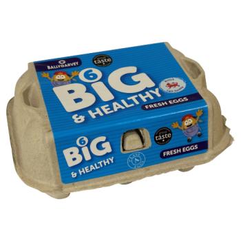 Ballygarvey 6 Big & Healthy Fresh Eggs 420g