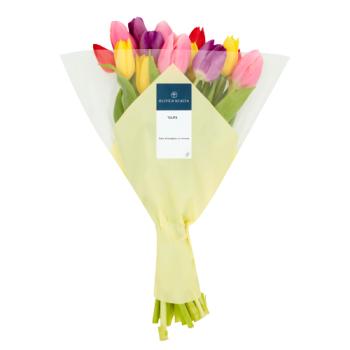 Olive & Acacia Tulips