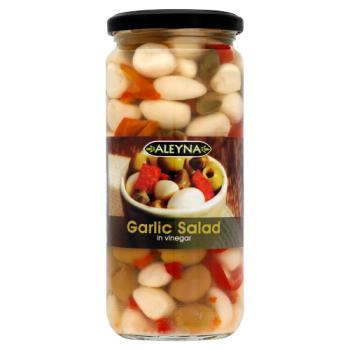Aleyna Garlic Salad 480g