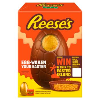 Reese's Milk Chocolate Hollow Egg 92g