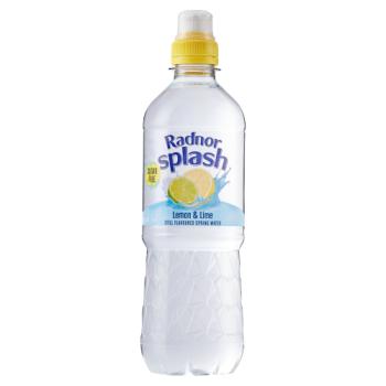 Radnor Splash Lemon & Lime Still Flavoured Spring Water 500ml