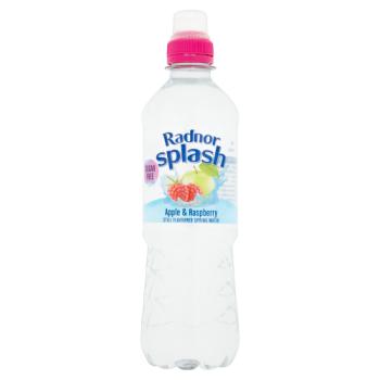 Radnor Splash Apple & Raspberry Still Flavoured Spring Water 500ml