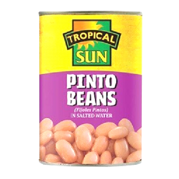 Tropical Sun Pinto Beans in Salted Water 400g 