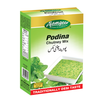 Alamgeer Podina Chutney Mix 50g 