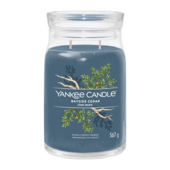 Yankee Candle Signature Scented Candle 