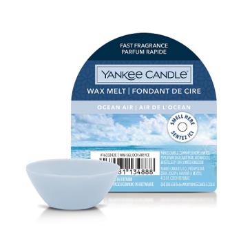 Yankee Candle Wax Melts 