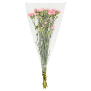 Asda Traditional Spray Carnations