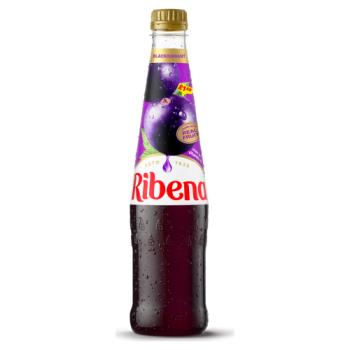Ribena Blackcurrant Squash 600ml PETML £P £1.69